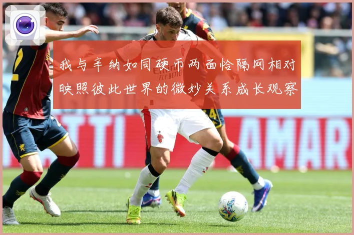 我与辛纳如同硬币两面恰隔网相对映照彼此世界的微妙关系成长观察
