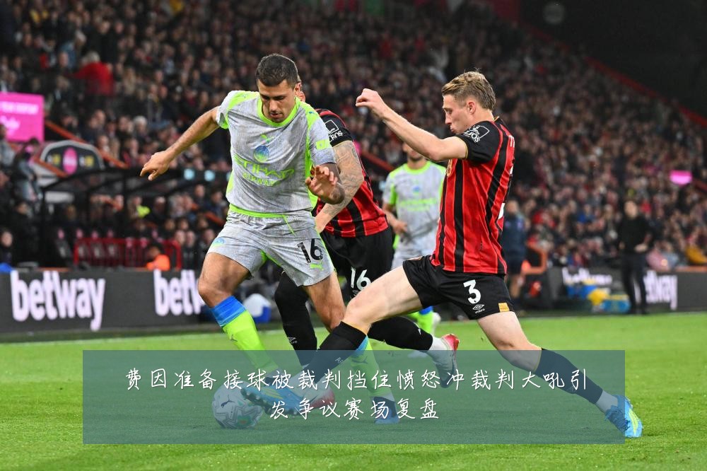 费因准备接球被裁判挡住愤怒冲裁判大吼引发争议赛场复盘