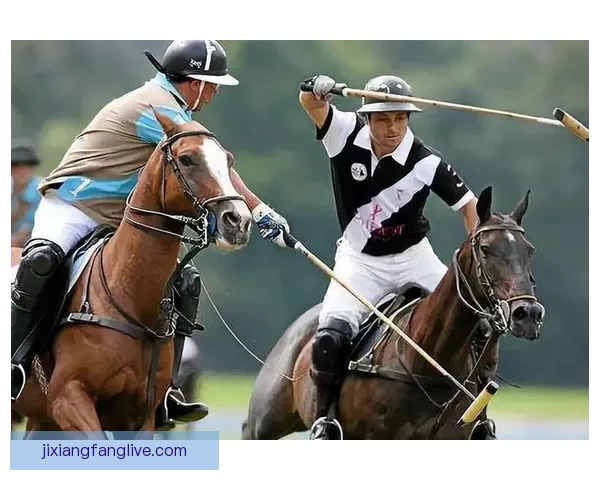 世界杯赛程竞猜与盘口深度解析策略全面指南